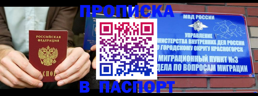 где прописаться в Михайловке